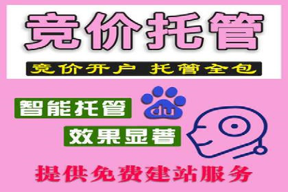 某行业领先企业背后的百度推广代理商策略